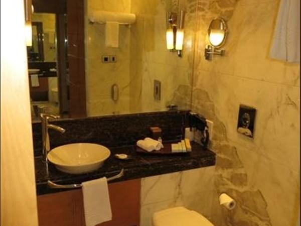 Radisson Blu Marina Hotel Connaught Place : photo 8 de la chambre chambre supérieure avec balcon