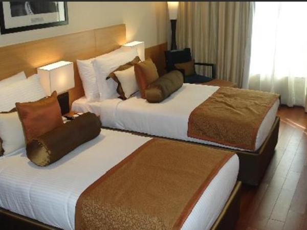 Radisson Blu Marina Hotel Connaught Place : photo 5 de la chambre chambre premium 