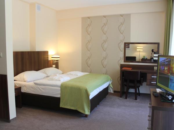 Verano : photo 1 de la chambre appartement 1 chambre avec balcon