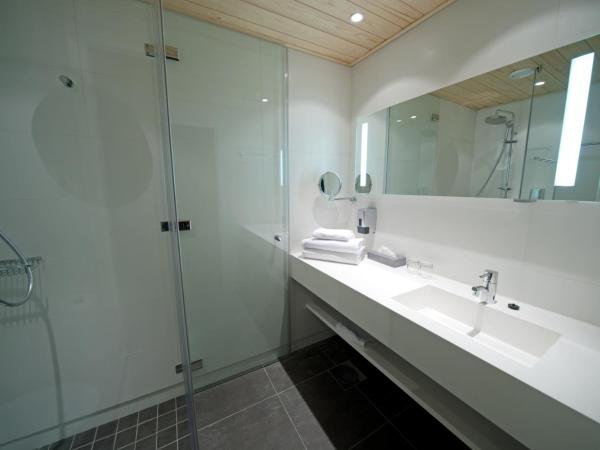 Hotel Levi Panorama : photo 4 de la chambre chambre lits jumeaux standard