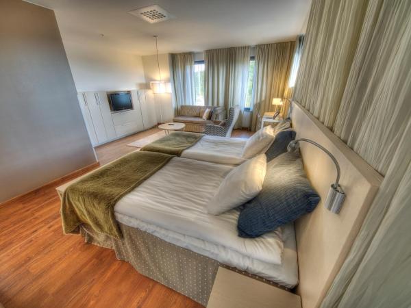 Hotel Levi Panorama & Levi Chalets : photo 1 de la chambre suite junior avec sauna