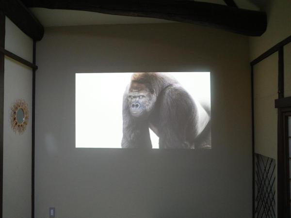Hotel Lantern Gion : photo 7 de la chambre suite 2 chambres