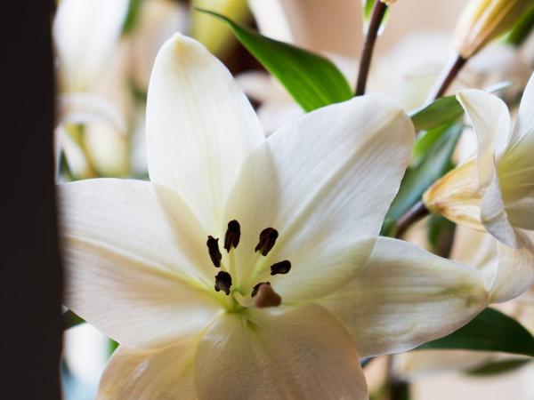 Hostal Pension Artilleiro : photo 1 de la chambre chambre simple