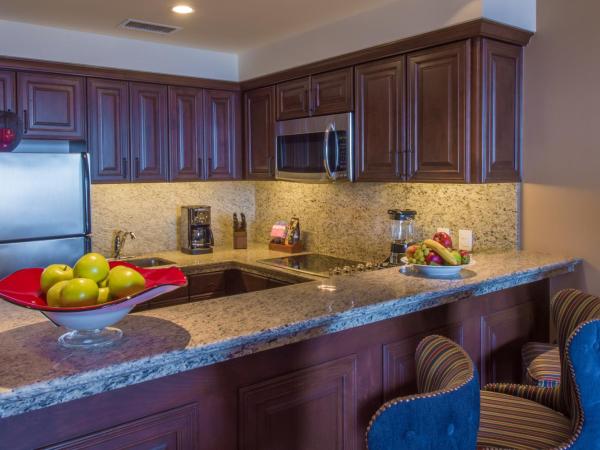 Grand Solmar Land's End Resort & Spa : photo 3 de la chambre suite deluxe 1 chambre