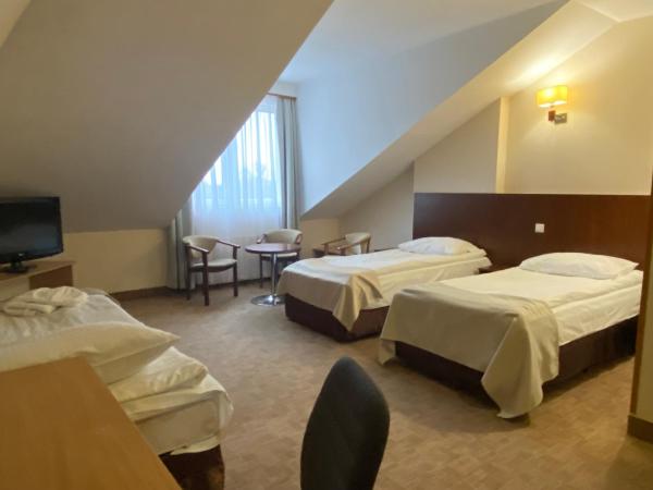 Hotel Ambasador Chojny : photo 3 de la chambre chambre triple standard
