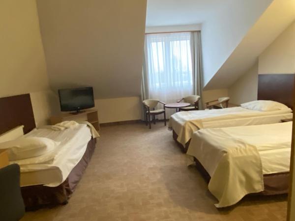 Hotel Ambasador Chojny : photo 4 de la chambre chambre triple standard