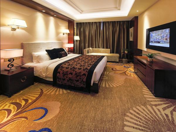 Sport Hotel : photo 3 de la chambre chambre lit queen-size deluxe