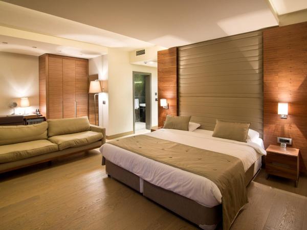 Hotel Arcadia Blue Istanbul : photo 4 de la chambre chambre d'angle deluxe 