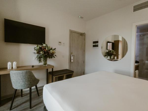 Petit Palace Vargas : photo 7 de la chambre chambre double ou lits jumeaux standard