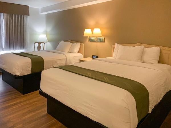 Quality Inn Albuquerque East I-40 Juan Tabo Exit : photo 3 de la chambre chambre standard avec 2 lits queen-size - non-fumeurs