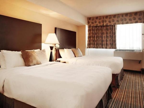 Comfort Suites Downtown : photo 4 de la chambre chambre 2 lits queen-size - non-fumeurs