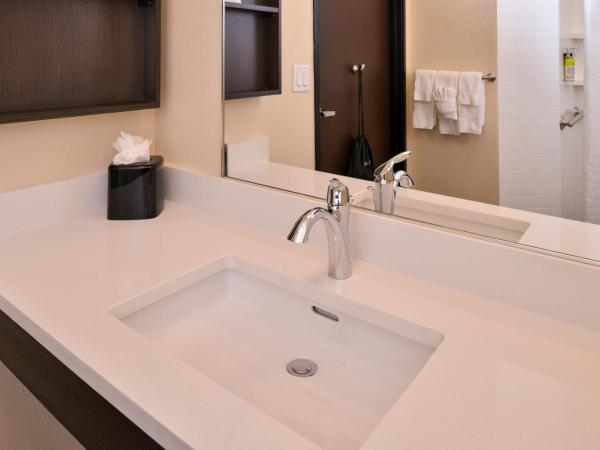 Candlewood Suites - Austin Airport, an IHG Hotel : photo 4 de la chambre king studio suite with mobility accessible roll in shower - non-smoking