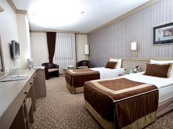 Sergah Hotel : photo 3 de la chambre chambre double ou lits jumeaux standard