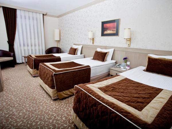 Sergah Hotel : photo 1 de la chambre chambre triple standard