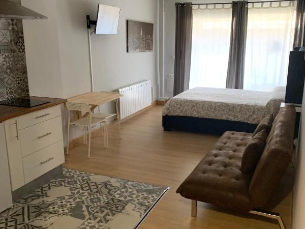 Estudios Bilbao Deusto : photo 3 de la chambre appartement