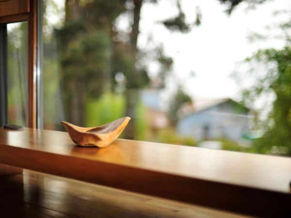 Design Suites Bariloche : photo 10 de la chambre studio