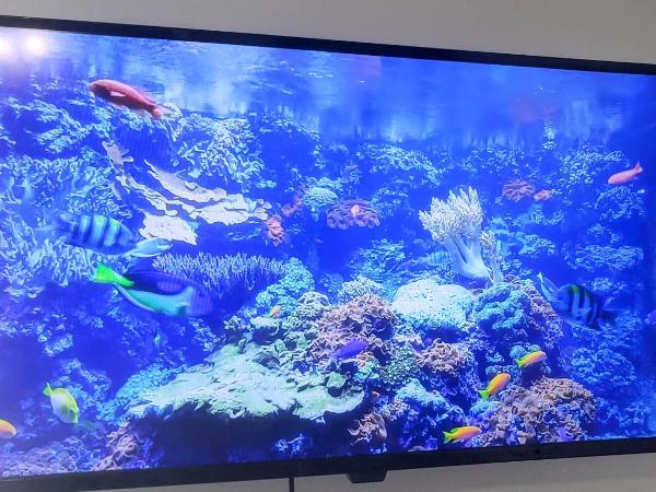 Stylish Suite Tampa Minutes to Hard Rock Casino : photo 1 de la chambre chambre lit queen-size