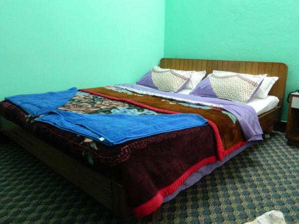 Mount Annapurna Guest House : photo 3 de la chambre chambre double standard