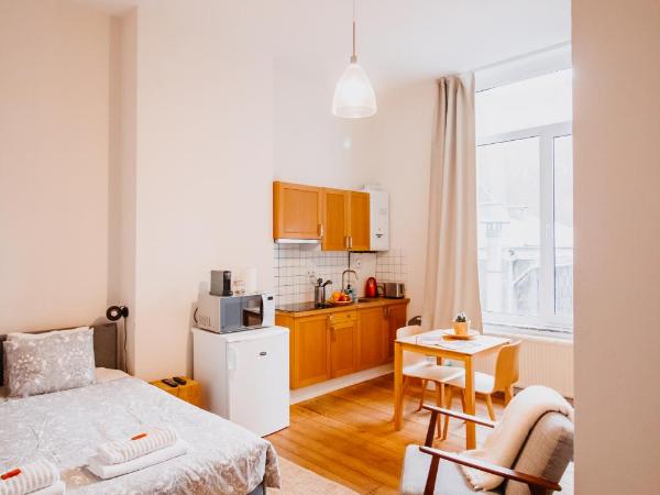 Super central in Brussels : photo 1 de la chambre studio