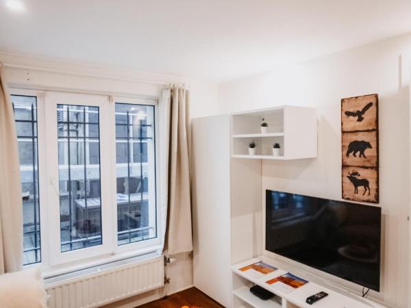 Super central in Brussels : photo 6 de la chambre appartement 1 chambre