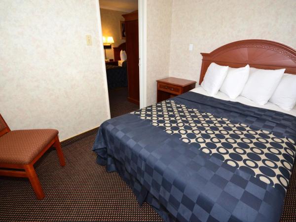 Days Inn by Wyndham Los Angeles LAX/VeniceBch/Marina DelRay : photo 6 de la chambre suite 1 chambre - non-fumeurs