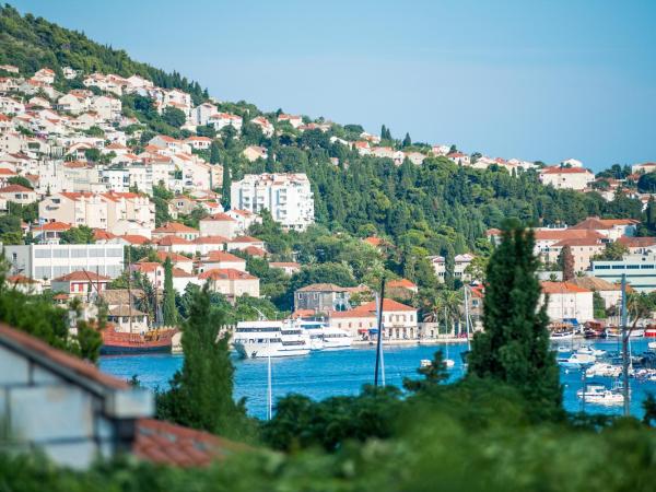 AVA Studio apartment and Room : photo 6 de la chambre chambre double ou lits jumeaux supérieure - vue sur jardin