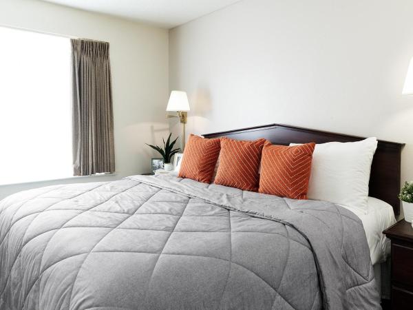 InTown Suites Extended Stay Houston TX - Greenspoint : photo 1 de la chambre suite lit queen-size