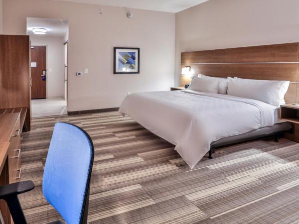 Holiday Inn Express & Suites - Nashville MetroCenter Downtown, an IHG Hotel : photo 7 de la chambre chambre lit king-size standard