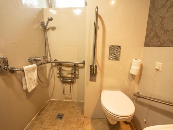 Mozart Hotel : photo 6 de la chambre chambre double - accessible aux personnes à mobilité réduite