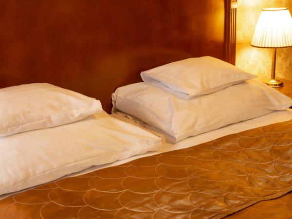 Mozart Hotel : photo 7 de la chambre chambre double