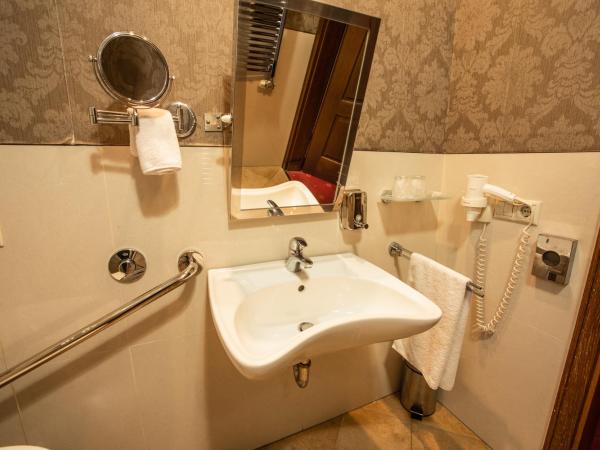 Mozart Hotel : photo 3 de la chambre chambre double - accessible aux personnes à mobilité réduite