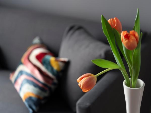 Butterfly Boutique Rooms : photo 7 de la chambre suite