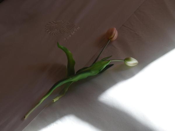 Pazo do Rio : photo 6 de la chambre chambre simple