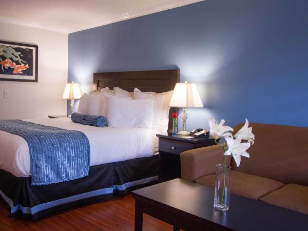 Regency Inn in Los Angeles : photo 1 de la chambre chambre lit king-size (non-fumeurs uniquement)