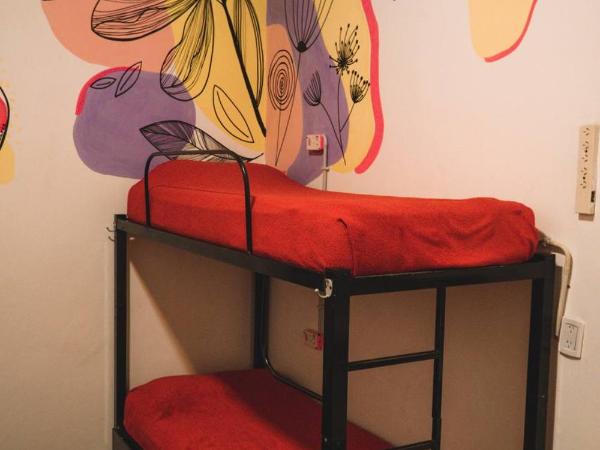 IDEAL SOCIAL Hostel : photo 6 de la chambre lit dans dortoir pour femmes de 6 lits