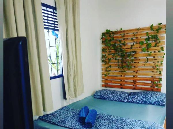 Blue Hostel : photo 4 de la chambre chambre quadruple