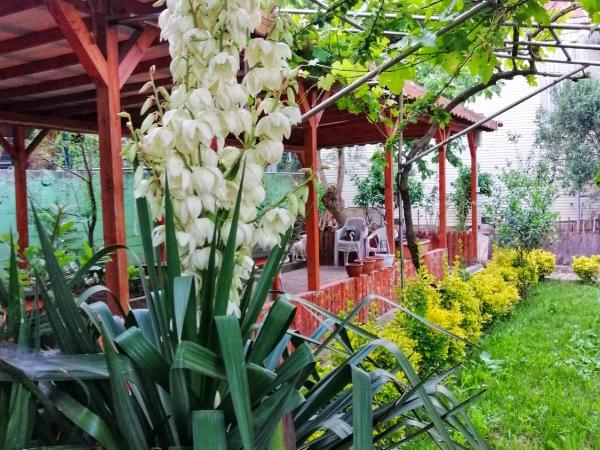 KILIÇ MOTEL : photo 5 de la chambre chambre double - vue sur jardin