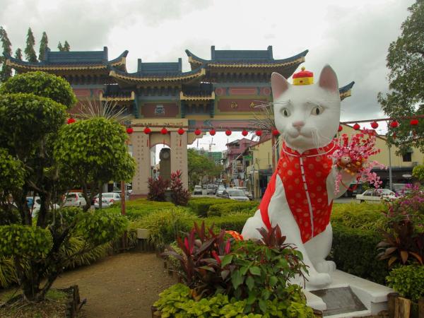 Marco Polo Guest House : photo 2 de la chambre dortoir mixte de 8 lits