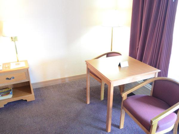 Americas Best Value Inn-Near NRG Park/Medical Center : photo 4 de la chambre chambre lit king-size - fumeurs