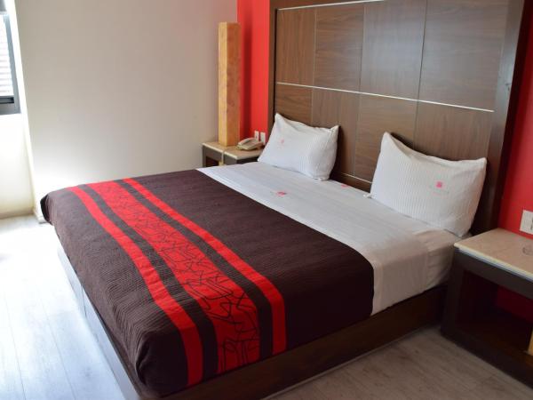 Plutarco Suites : photo 4 de la chambre chambre deluxe