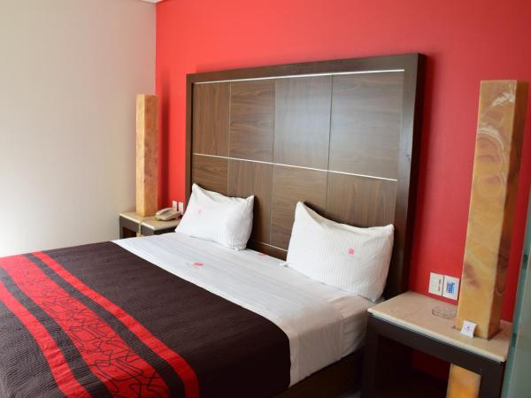 Plutarco Suites : photo 6 de la chambre chambre deluxe