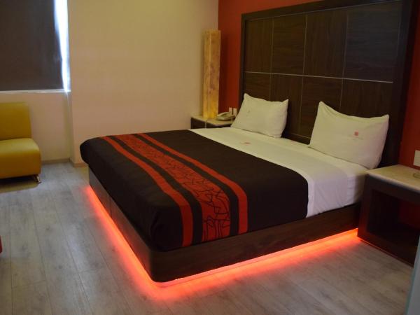 Plutarco Suites : photo 7 de la chambre chambre deluxe