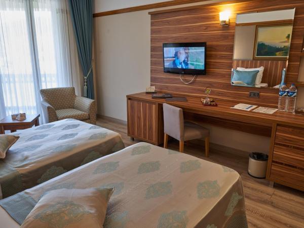 Eliz Hotel Convention Center Thermal Spa & Wellnes : photo 9 de la chambre chambre triple supérieure