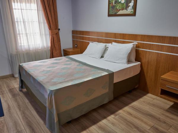 Eliz Hotel Convention Center Thermal Spa & Wellnes : photo 8 de la chambre appartement