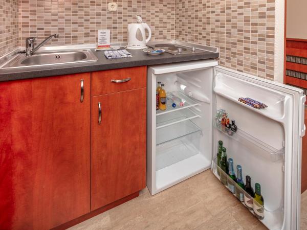 Hotel Charles : photo 6 de la chambre studio deluxe (3 adultes)