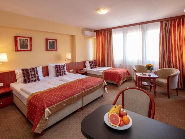 Hotel Charles : photo 2 de la chambre studio deluxe (3 adultes)