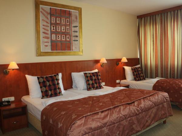 Hotel Charles : photo 4 de la chambre studio standard (3 adultes)