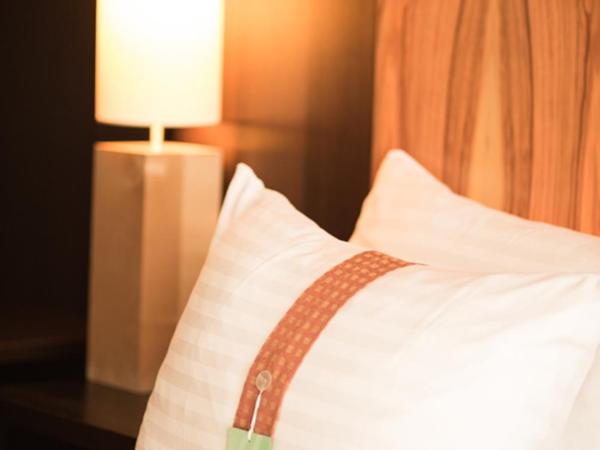 Holiday Inn - Salzburg City, an IHG Hotel : photo 1 de la chambre chambre standard