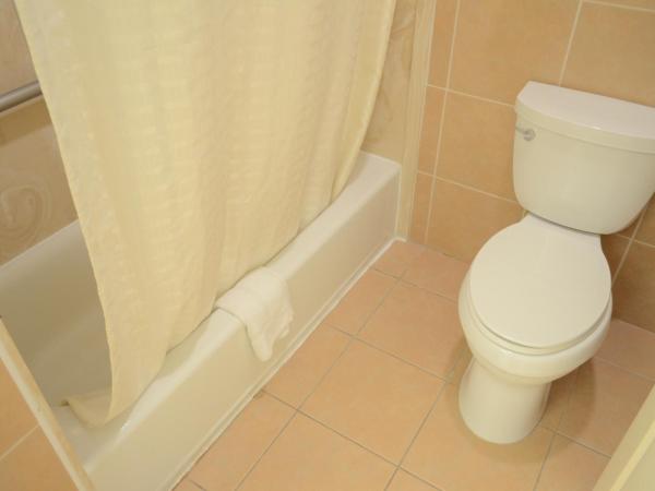 Sterling Inn and Suites at Reliant and Medical Center Houston : photo 5 de la chambre chambre lit king-size