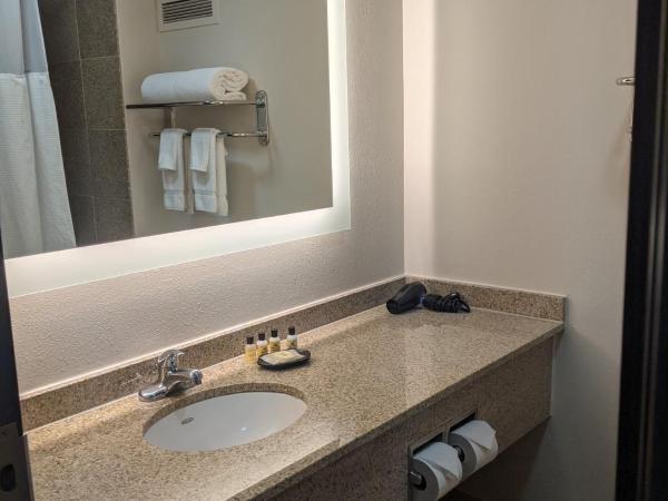Wyndham Indianapolis Airport : photo 2 de la chambre room with two double beds and mobility access/roll-in shower - non-smoking